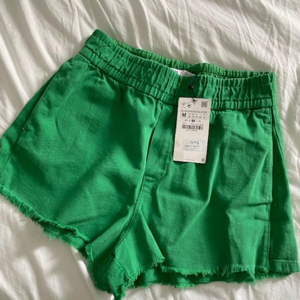 Zara Paperbag Shorts